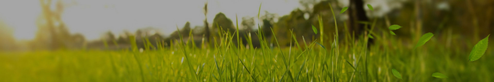 c8e23ca836065373f975df250b80959b