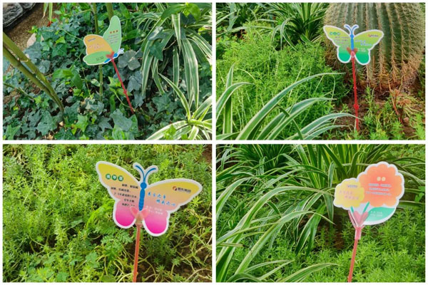 ŷ��ABG����״̬�Ļ���������