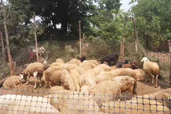 �������Ȧ