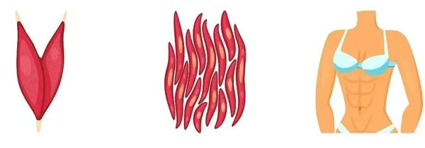 胶原蛋白,补充胶原蛋白,胶原蛋白肽 胶原蛋白,补充胶原蛋白,胶原蛋白肽