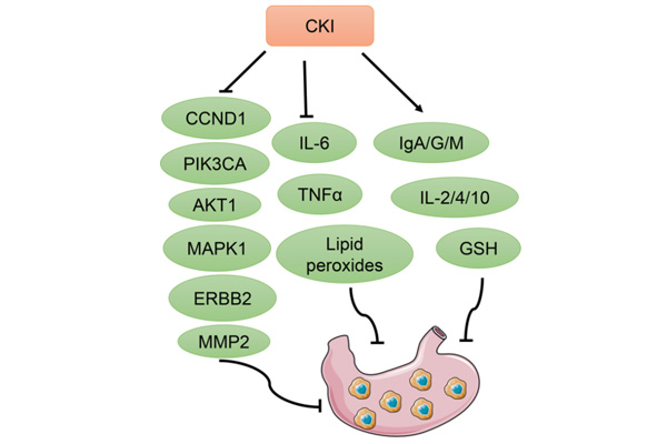 �������ע��Һҽ��θ��