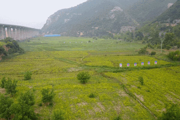 ŷ��ABG,ŷ��ABG·��ҩ��