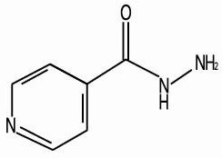 ������Ƭ