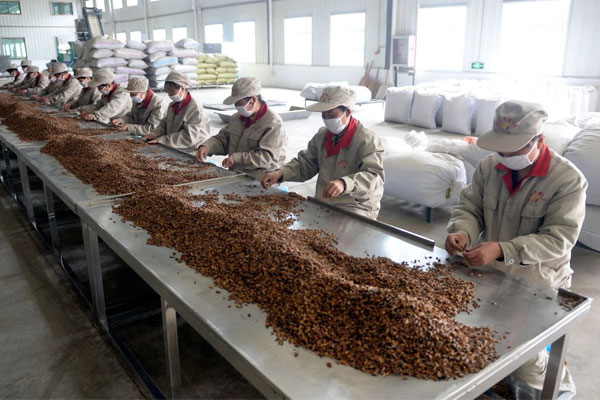 ŷ��ABG��ҩ��