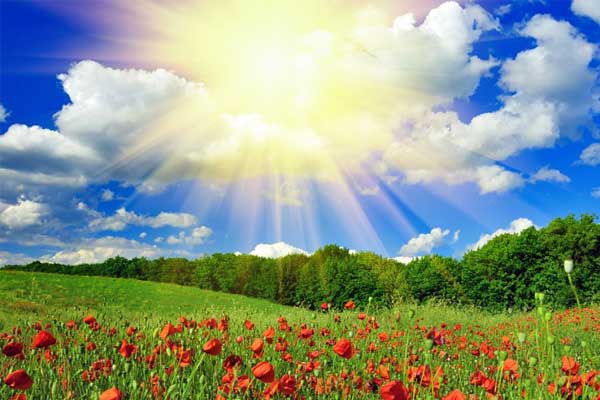 ��ҳ - ŷ��ABG���Ź�����¼