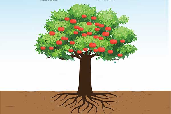 ��ҳ - ŷ��ABG���Ź�����¼