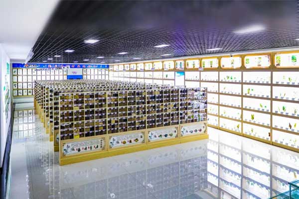 ŷ��ABG�Ƽ�������ҩ�걾��