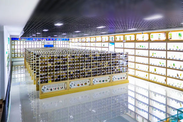 ŷ��ABG�Ƽ�������ҩ�걾��