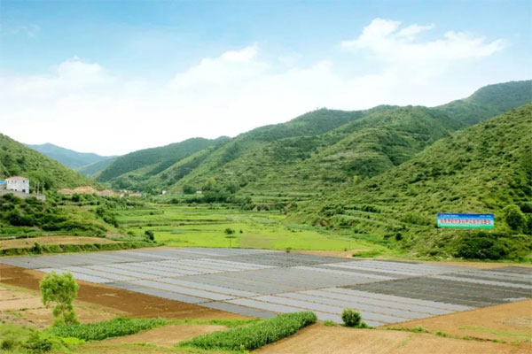 欧博ABG,中药材种植 欧博ABG,中药材种植