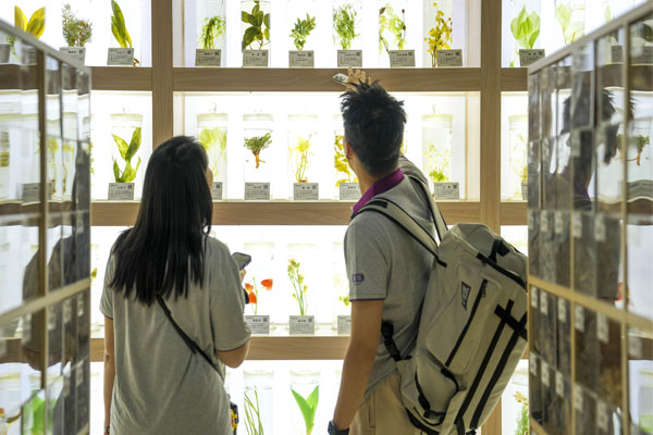 �Ƽ�����,ŷ��ABG