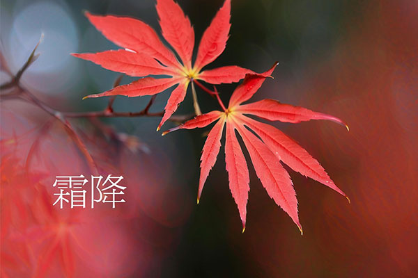 ��ҳ - ŷ��ABG���Ź�����¼