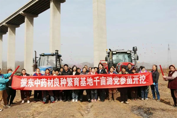 ŷ��ABG,ŷ��ABG��ҩ��,��ҩ��