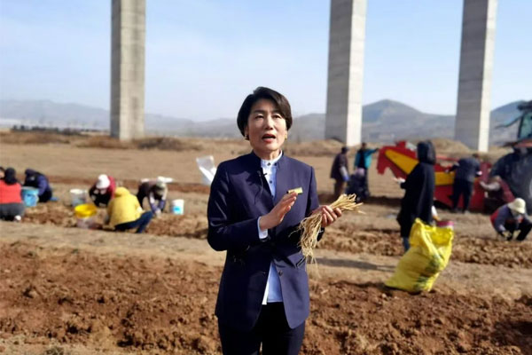 ŷ��ABG��ҩ�Ĺ�˾���³�������