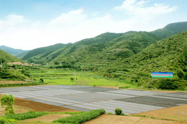 ŷ��ABG,ŷ��ABG��ҩ��,��ҩ��