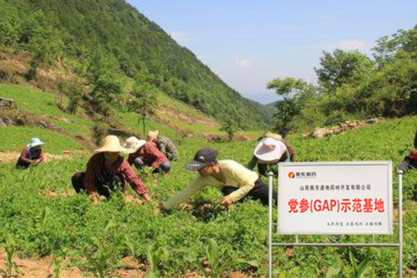 ŷ��ABG,ŷ��ABG��ҩ��,��ҩ��