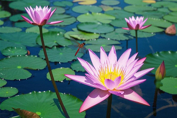 ��ҳ - ŷ��ABG���Ź�����¼