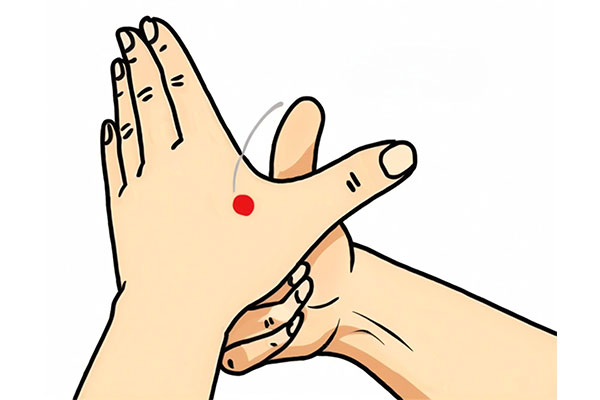 ��ҳ - ŷ��ABG���Ź�����¼