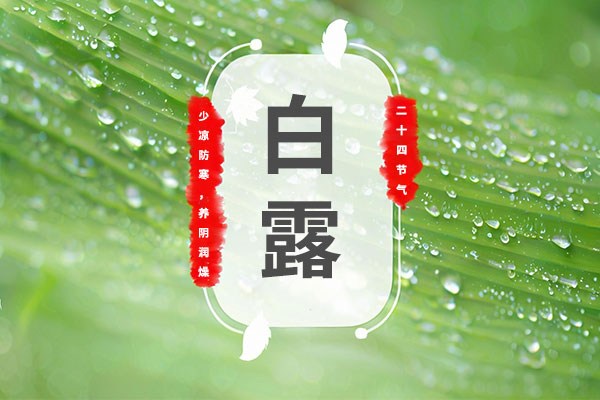 °×Â¶ÑøÉú °×Â¶ÑøÉú