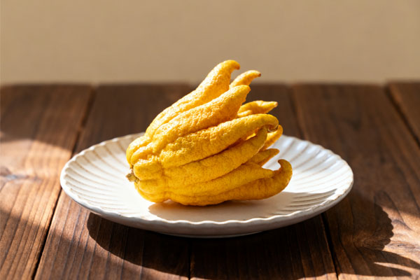 ��ҳ - ŷ��ABG���Ź�����¼