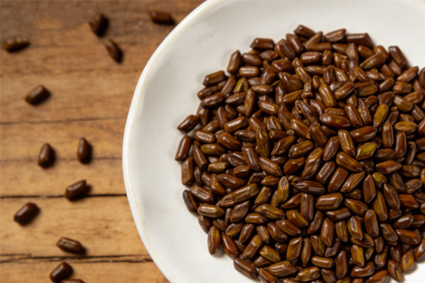 ��ҳ - ŷ��ABG���Ź�����¼